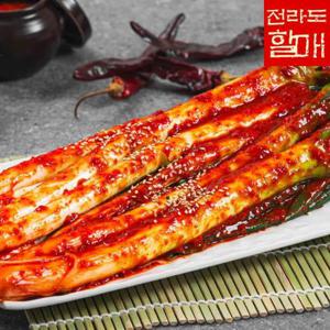 [전라도할매] 국내산 원재료 프리미엄 대파김치 2kg