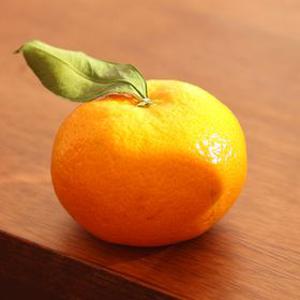 당도선별 제주 타이백 감귤