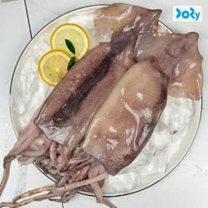 [APP전용]소포장 자연산 손질 통오징어 1.1kg (220gX5팩/총 10마리)