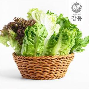 [딜크릿] 고흥 유러피언 샐러드 쌈채소 1kg