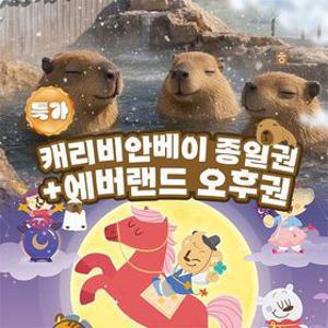 [슈퍼트립] 용인 캐리비안베이 종일권&콤비 이용권 특가 프로모션, 이용기간 최대 3월 2일까지, 주중&주말 공통