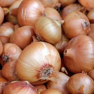 [산지직송] 무안 양파/깐양파 1kg/2kg/3kg/5kg/10kg