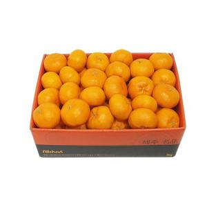 제주 레드향 선물세트 3kg 5kg 10kg