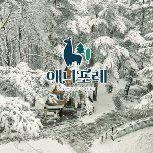 [평창] 모나용평 애니포레 동계시즌 입장권(12/6~3/2)