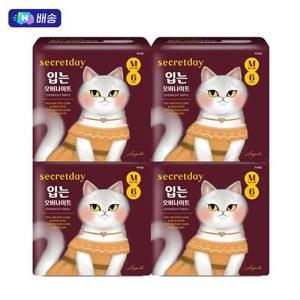 N배송 시크릿데이 입는 오버나이트 에디션 중형 6PX2+2팩