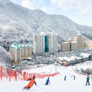 [슈퍼트립] 25/26 홍천 비발디파크 스키 리프트/장비렌탈 PKG/스노위랜드/오션월드 택1 구매, 대인&소인 공통