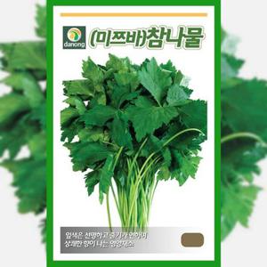 미쯔바 씨앗 540g 참나물 종자 삼엽채 샐러드 채소 산나물
