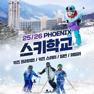 [공식판매처] 25/26 평창 휘닉스파크 스키학교 강습권