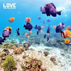 [트립ON] 보라카이 4일 파라다이스가든 슬림PKG 자유일정 & 전신마사지 1시간 포함