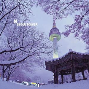 [남산] N서울타워 전망대 이용권