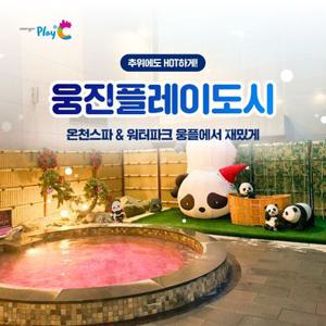 [경기 부천] 웅진플레이도시 하이시즌 이용권 (유효기간 : 1/15~3/2)