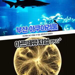 아르떼뮤지엄 부산+씨라이프 부산 아쿠아리움PKG