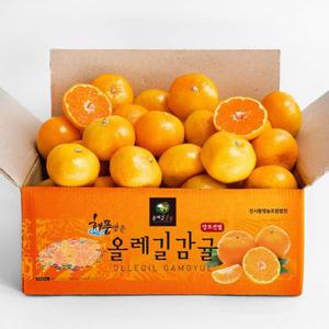 서귀포 감귤 대용량 대과 가정용 5KG 9KG