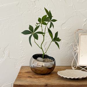 그린 파키라 조화 실버 화분 (블랙/실버)