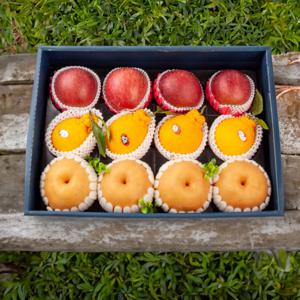 과일 혼합 프리미엄 명절 선물 세트 5.5kg 특 사과4과 배4과 한라봉4과