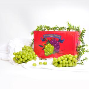 샤인 머스켓 선물세트 2kg 4kg