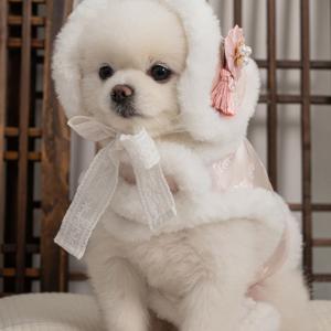 강아지한복 털모자 귀도리 눈꽃설화 귀마개 핑크 (B108_PK)