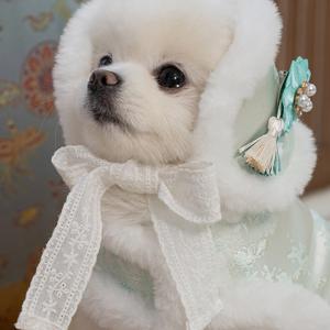 강아지한복 털모자 귀도리 눈꽃설화 귀마개 민트 (B108_MT)