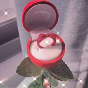 장미꽃 장미 반지케이스 쥬얼리 반지 수납 보관 정리 시들지않는꽃 프로포즈 꽃 선물 리본반지