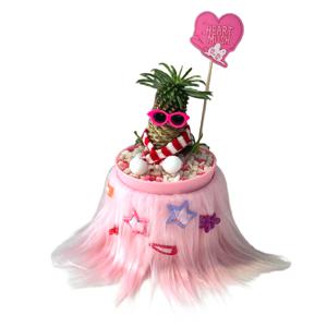 hot pot (화분+식물+화분핀) 공기정화 인테리어