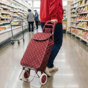 장바구니캐리어 쇼핑 핸드카트 바퀴달린 시장 마트 접이식 캐리어 구르마 2COLOR