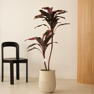 레드 드라세나 프라그란스 행운목 조화나무 3sizes