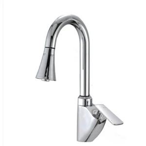 피렌체 아르코 국산 거위목 주방수전