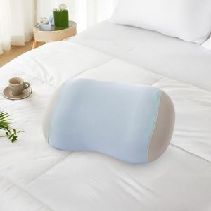 아네시스 S 블루 드라이텍스 메모리폼 베개