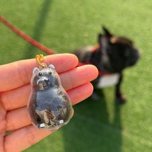 반려 강아지 털 키링 만들기 열쇠 고리 키링