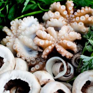 국내산 자연산 생물 알배기 활 주꾸미 쭈꾸미 알주꾸미 알쭈꾸미 1kg 7-15미 내외