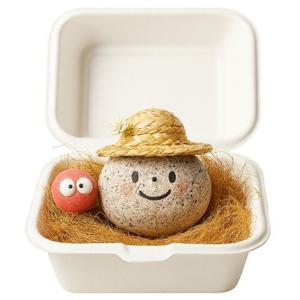 나의 작은 친구 반려돌 / 애완돌 애완용 돌 키우기 펫스톤 반려석 밀짚모자 쓸데없는 선물