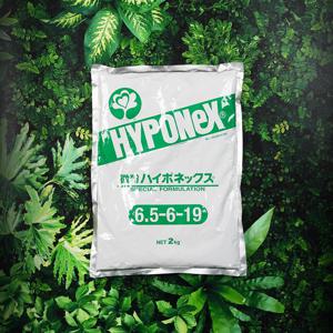 하이포넥스 분말 2kg 복합비료 식물 영양제