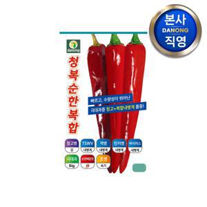 청복 순한복합 고추 씨앗 50립 . 극대과종 조생종 순한매운맛 내병계 씨 종자.