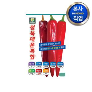 청복 매운복합 고추 씨앗 50립 . 극대과종 조생종 매운맛 내병계 채소 씨 종자.