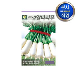 드림 알타리무 씨앗 1000립 . 야채 채소 맛있는 단단한 무우 김장 씨 종자