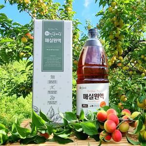 진실매실 청매실 매화골농원 수제 매실청 매실액기스 1800ml