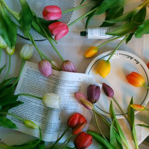 조화 망고 튤립 -8coior