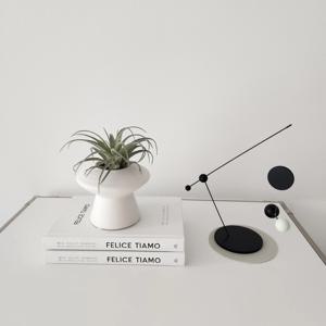 틸란드시아 선인장 조화화병세트 홈인테리어 거실장식 조화식물 식물오브제 테이블