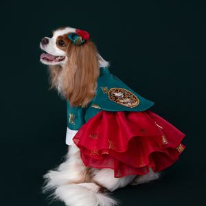 강아지 한복 네번째 No.4 여 궁중