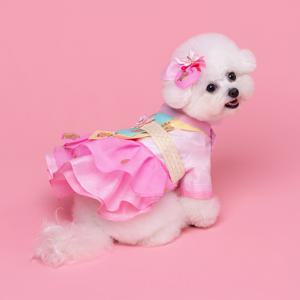 강아지 한복 다섯번째 No.5 여 파스텔