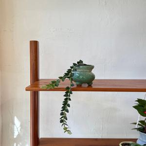 세븐스타호야 - Green vintage pot 빈티지팟 인테리어식물 집들이선물