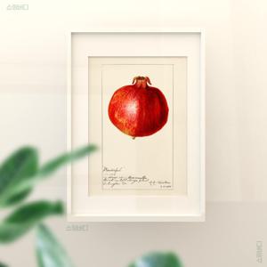 석류 그림 다산 풍요 사업번창 산모 임산부 선물 풍수 인테리어 포스터 소원성취 그림 벽장식