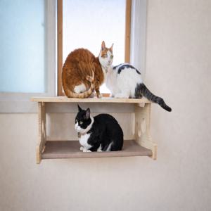 고양이 창문 선반 해먹 햇살자리