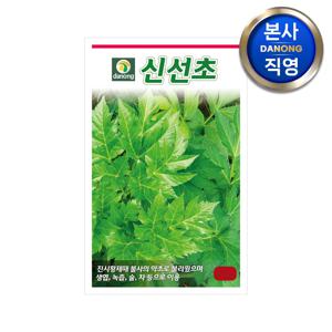 신선초 씨앗 1g . 야채 채소 텃밭 파종 재배 주말 농장 씨 종자