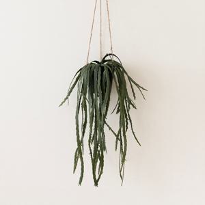 립살리스 루비 행잉플랜트 조화 화분