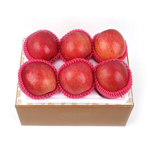 프리미엄 경북 꿀 사과 선물세트 2kg