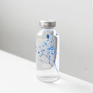 PLANT SPECIMEN - Gypsophila 안개꽃 블루