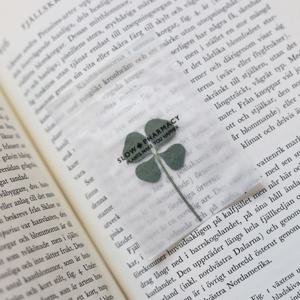 네잎클로버 약포지