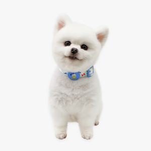 디즈니 컴포트 LED 목줄 (도널드)