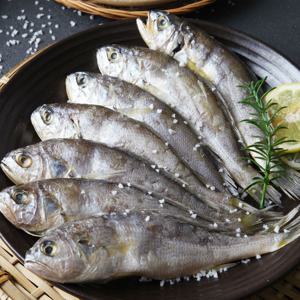 HACCP 인증 법성포 영광 참맛 진굴비 1.4kg 40미 외